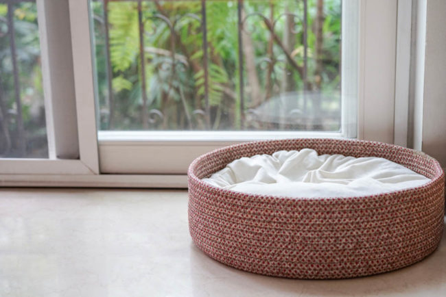 Stylish and Pet Friendly Home Upgrades