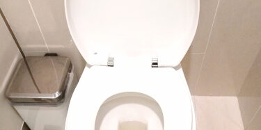How Inspecting Your Toilet Can Save You Money