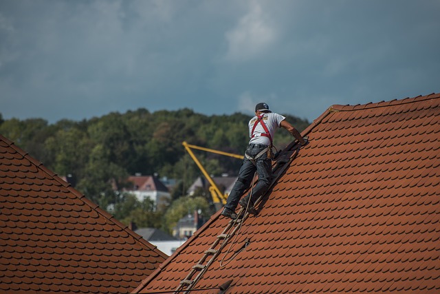 What You Need to Know About Roof Repair