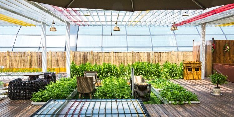 Simple Steps to Refresh Your Deck’s Look Simple Steps to Refresh Your Deck’s Look