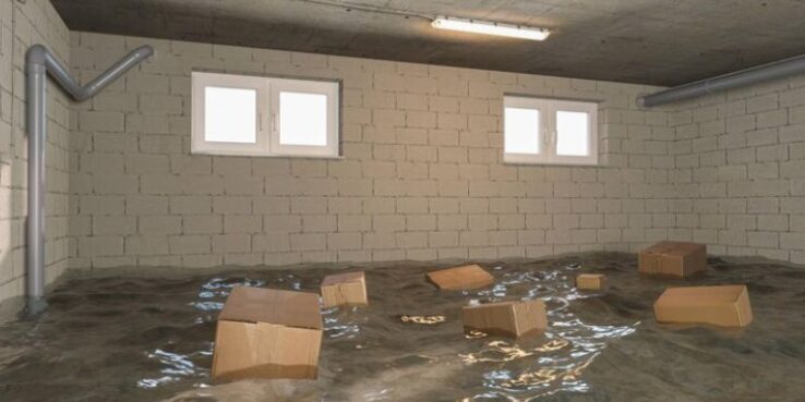 Basement Flooded? Here’s What to Do Next